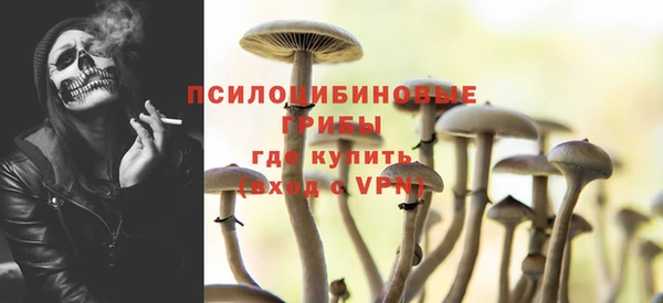 ALPHA-PVP Алексин