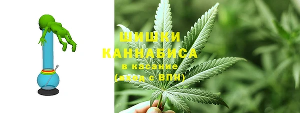 гашик Алзамай